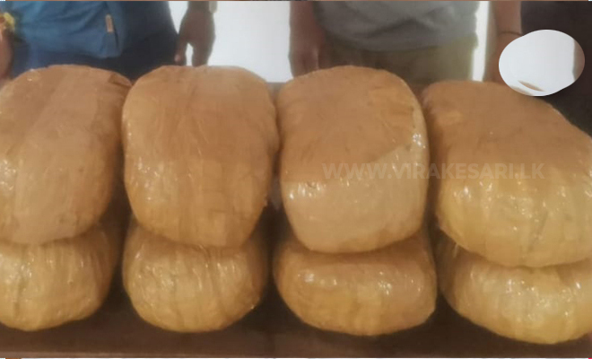 நயினாதீவில் கஞ்சா மீட்பு!